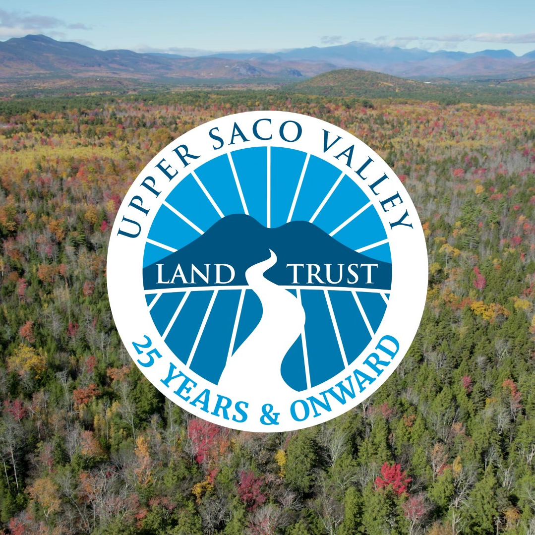 sqr bisson_video_thumbnail.png